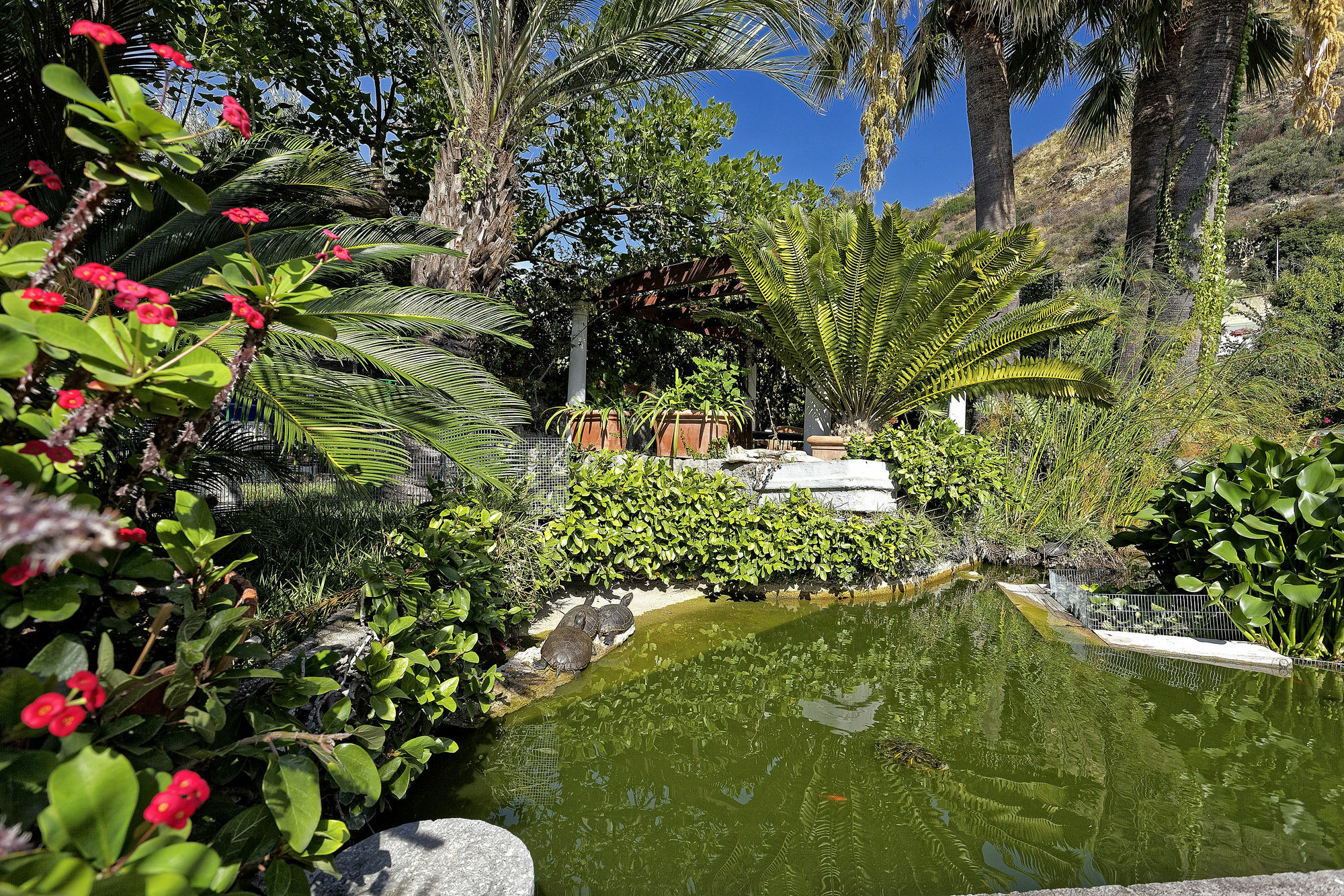Hotel Parco Smeraldo Terme Barano d'Ischia Exterior photo